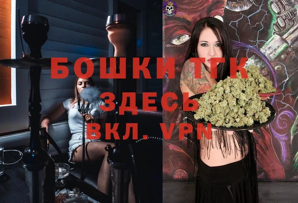 шишки Богданович