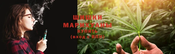 PSILOCYBIN Богородицк