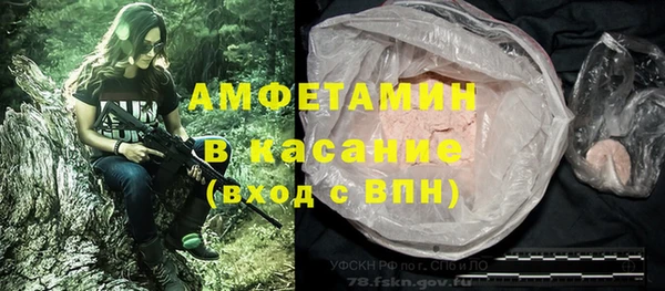 шишки Богданович