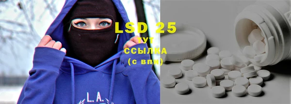 PSILOCYBIN Богородицк