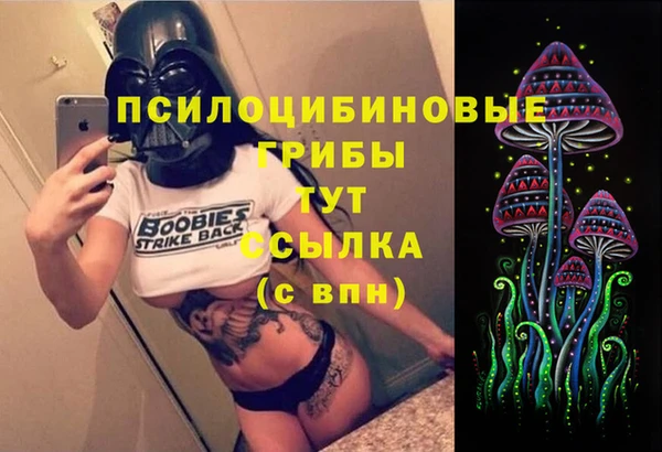 PSILOCYBIN Богородицк