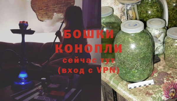 PSILOCYBIN Богородицк