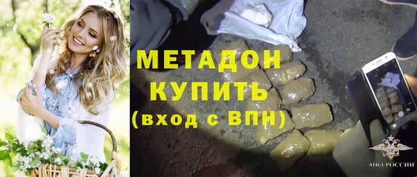 шишки Богданович