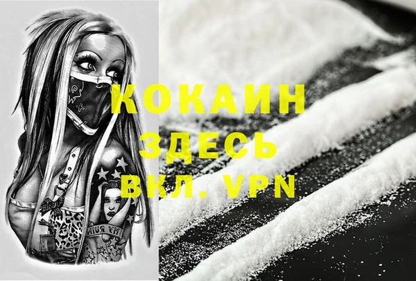 шишки Богданович