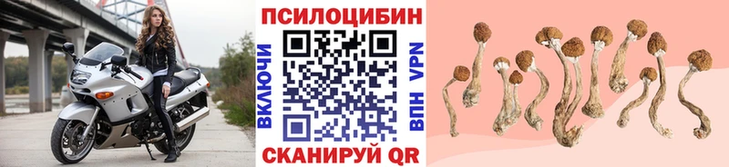 Псилоцибиновые грибы MAGIC MUSHROOMS  Купить где  Заозёрск 